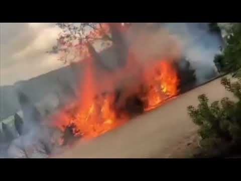 Millau. Incendie au Parc de la Victoire