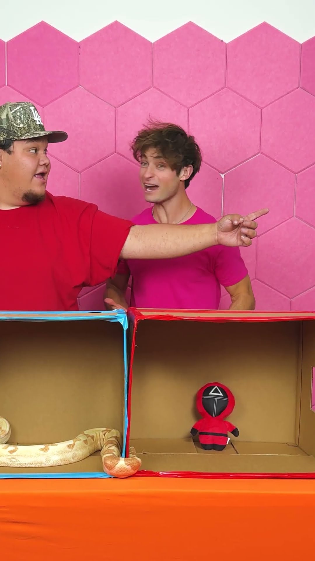 Don’t Pick The Snake Box! ?