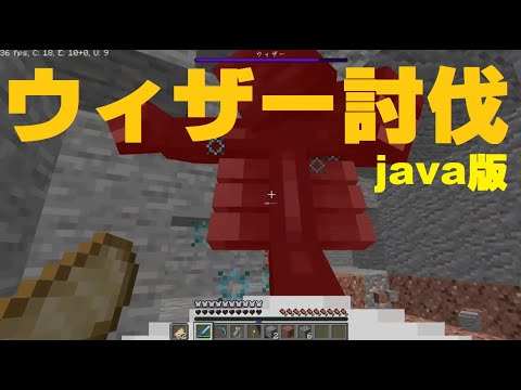 【マイクラ】ウィザー討伐 java版