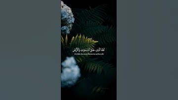 سورة السجدة  / القارئ عبدالرحمن مسعد