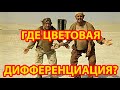 Почему на лифтах такой «бардак» с маркировкой проводов?