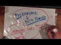 Understanding Endosymbiosis Theory