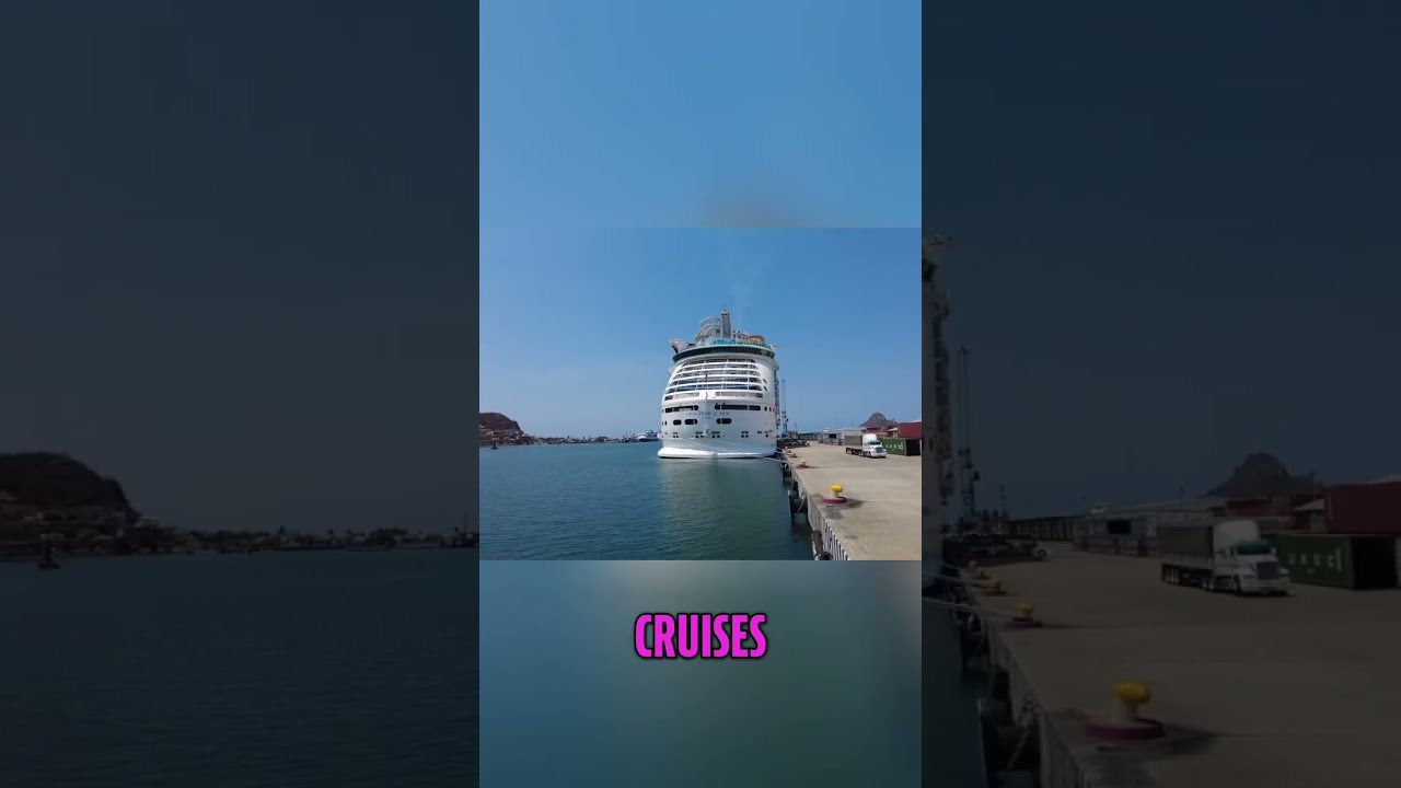 Unlock Cheap Cruises: Repositioning Voyages & Loyalty Secrets #shorts