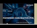 POLYMERASE CHAIN REACTION(PCR): MALAYALAM: Definition Principle Requirements, Steps & Applications