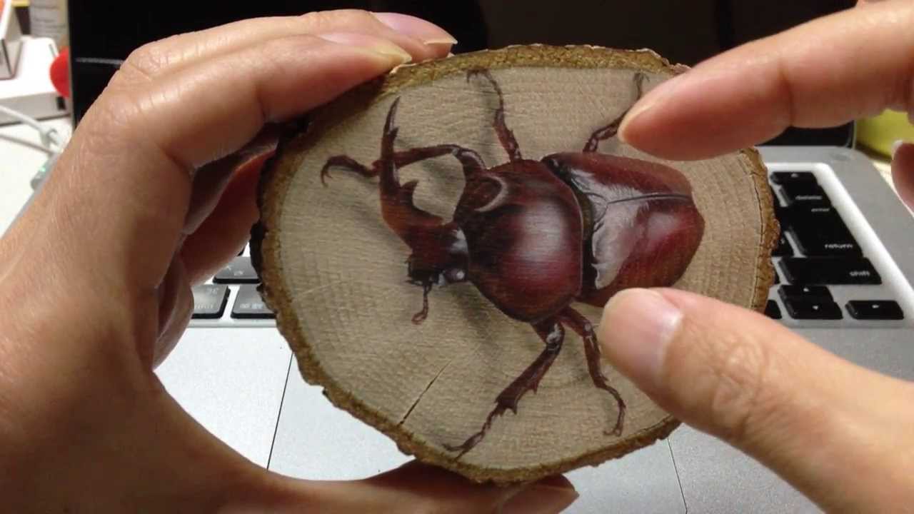 【リアリズム絵画】輪切り絵アート：赤いカブトムシ ホワイトアイ Version2 (Rhinoceros beetle) - YouTube