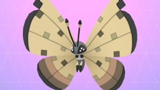 [Pokemon Go] : SANDSTORM Vivilion