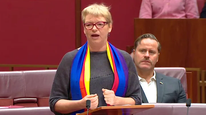 Janet Rice speaking on the marriage equality bill