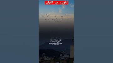 #قرآن #خالد_الجليل #تلاوة_خاشعة #fypシ #shortvideo #اكسبلور #reels #freefire #funny #تصويري