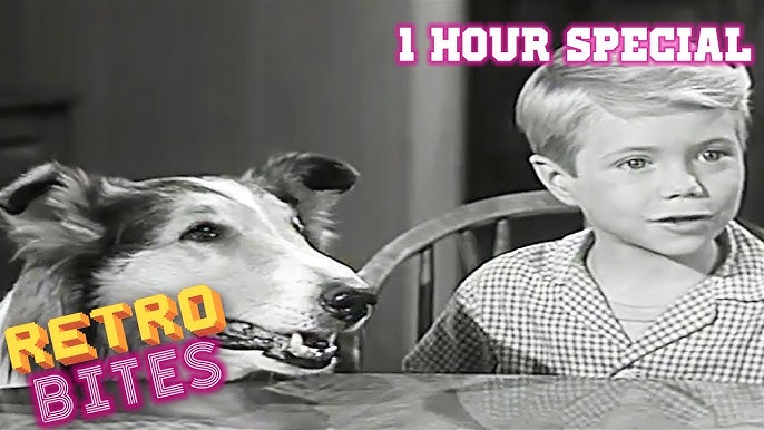 Lassie Come Home (1/10) Movie CLIP - Morning Routine (1943) HD