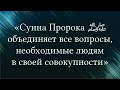 «Сунна Пророкаﷺ объединяет все вопросы, необходимые людям в своей совокупности» Абу Ислам аш-Шаркаси