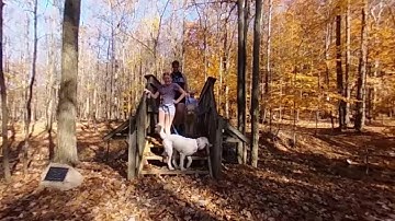 Theta Z1 - Walk in the woods ground up