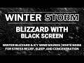 Winter Blizzard &amp; Icy Wind Sounds | White Noise for Stress Relief, Sleep, and Concentration