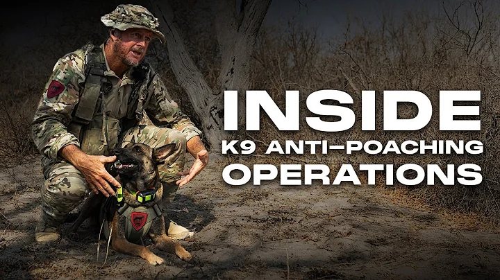 Inside K9 Anti-Poaching Operations | Pro's Guide to Tracking with Rangers and K9s