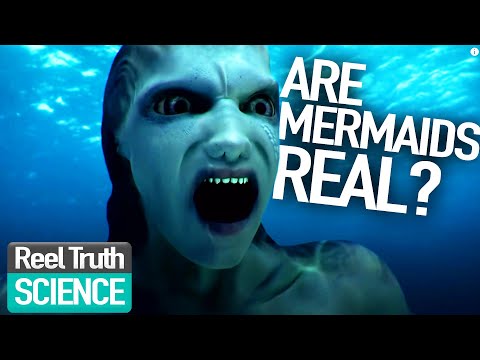 Mermaids The Body Found: Are Mermaids Real? | Mermaid Science Fiction Programme | Reel Truth Science