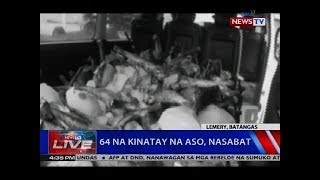 64 na kinatay na aso, nasabat