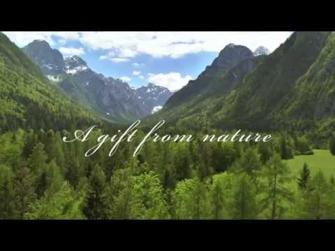 Marketing Northwest Natural Specialty Foods Marketing Northwest Natural Specialty Foods