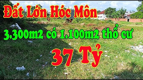 3300m2 Đất Hóc Môn Xuân Thới Đông Sổ Hồng Riêng 37 Tỷ | Nhà Đất Hóc Môn