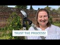 How To Prune A Weeping Cherry Tree Adding Interest Under The Canopy Cottoverdi 