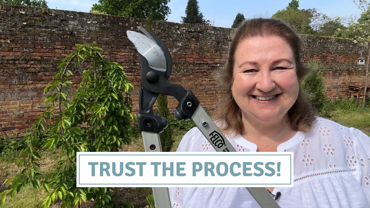 Как обрезать плакучую вишню + добавление интереса под пологом // Коттоверди