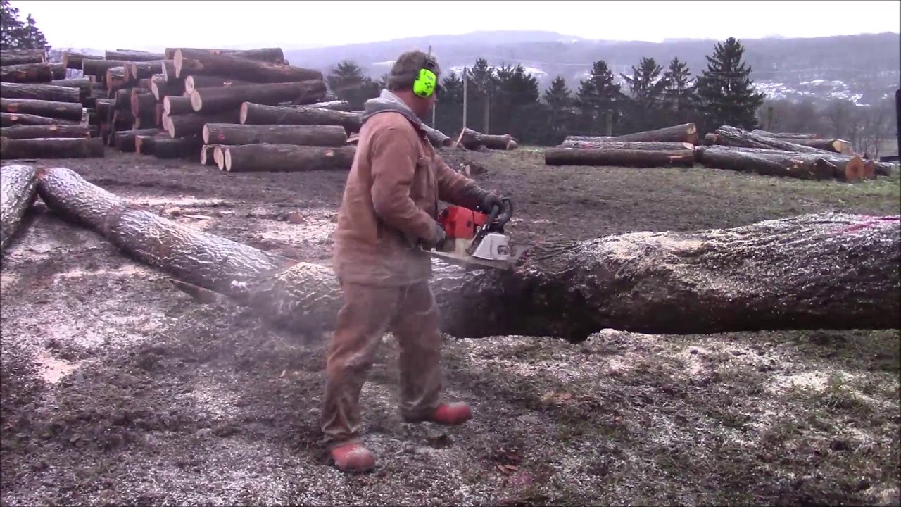 remove bucking mound remove bucking mound