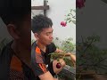 Những clip triệu view p20101