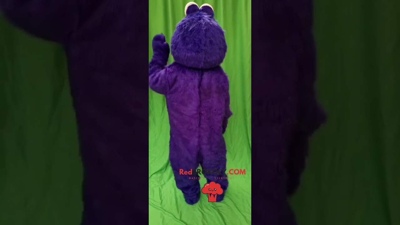 Sesame Street Mascot Costume Cartoon Elmo Cookie Monster Mascot Fancy Dress