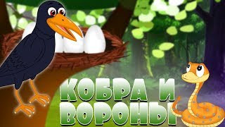 Кобра И Вороны | Сказки На Ночь | Русские Сказки Для Детей