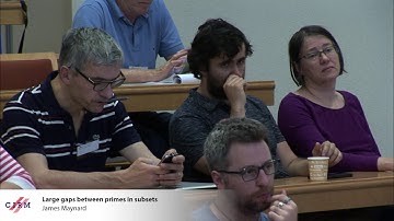 James Maynard: Large gaps between primes in subsets