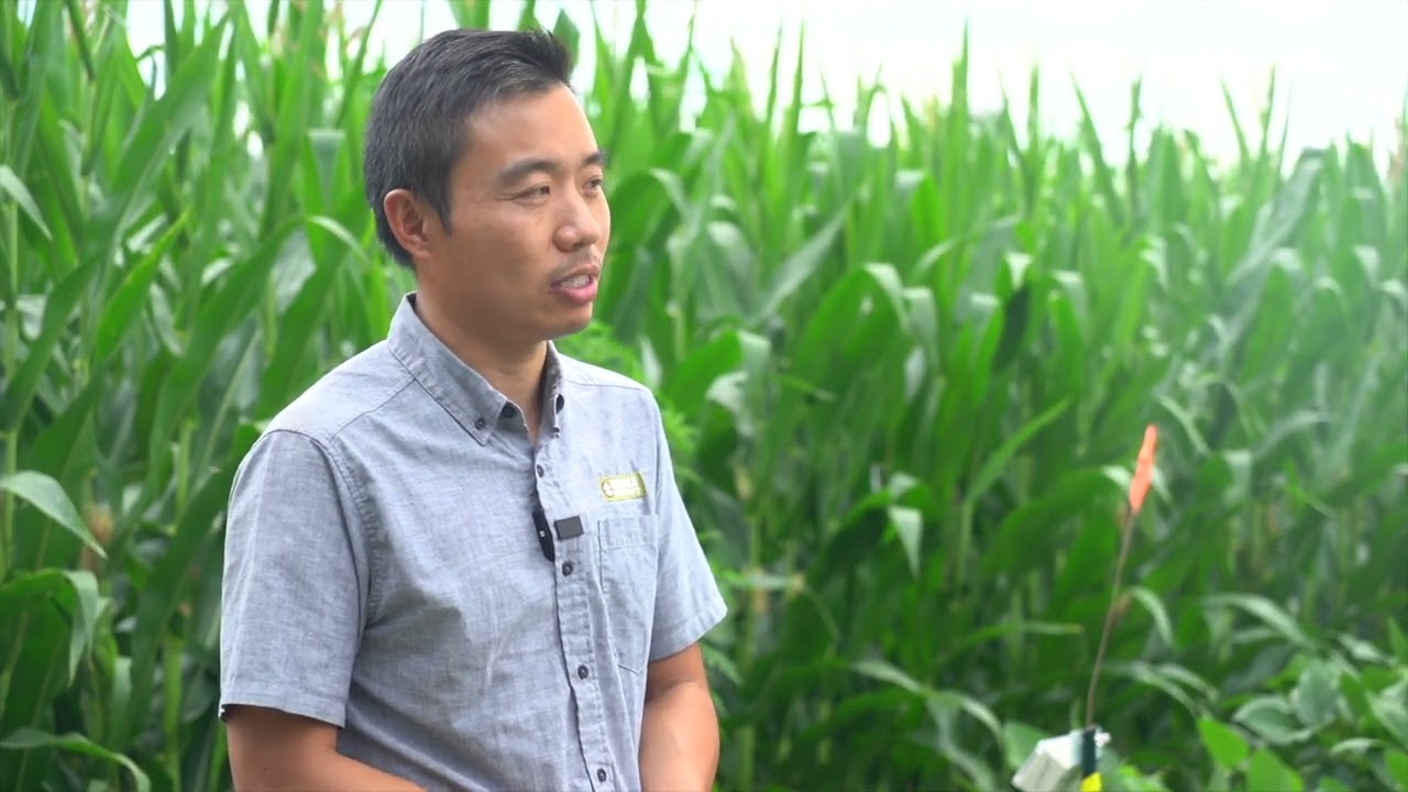 Conventional Agriculture and Harmful Herbicides