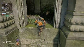 So many targets...so little time