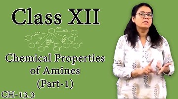 Chemical Properties of Amines - Part 1 | Class12 Chemistry | Class 12 Board 2022 | Shaillee Kaushal