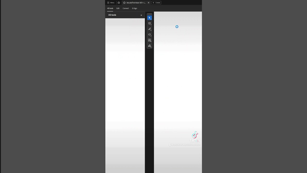 Excel tip to insert a pdf button