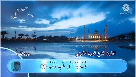 سورة المسد mp4 بصوت للقارئ الشيخ العيون الكوشي .