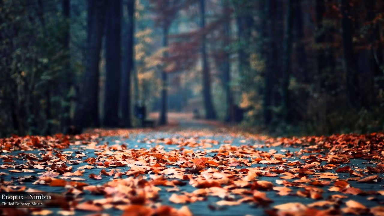 Watch Enoptix - Nimbus on YouTube Watch Enoptix - Nimbus on YouTube