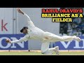 10 Outstanding Catches by Rahul Dravid ||