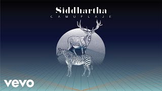 Miniatura de vídeo de "Siddhartha - Camuflaje (Cover Audio)"