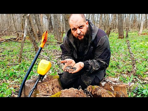 Видео: Копнул царских монет, беседы о кладоискательстве, и новый закон о краснокнижных грибах и растениях