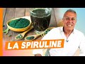 La spiruline - Live du 22 Mai 2024 (et c&#39;est mon anniversaire... 🎂)