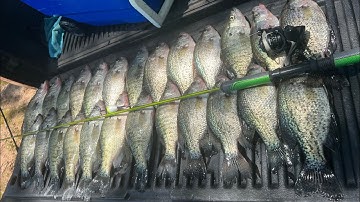 How To Catch LIMITS Of CRAPPIE In The Summer🔥 | Summer CRAPPIE Fishing 2023‼️