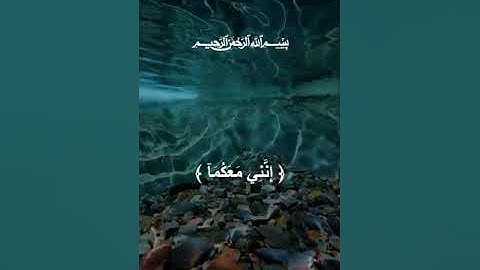 سورة طه #سبحان_الله #quran #تلاوات #islam #اسلام_صبحي #islamic #القرٱن_الكريم #سورةالطه #سورة