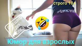 Смешные😂Smile😂Подборка весёлых видео😂Prank😂Я ржал до слёз 😂10 мин юмора😂Лучшие #приколы 😂