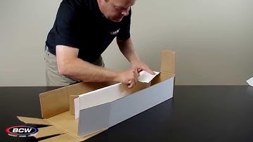 BCW Super Shoe Storage Box