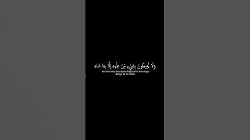 كرومات قران شاشة سوداء _الله لا إله إلا هو الحي القيوم _آية الكرسي_القارئ♡#بندر_بليله#اكسبلور_فولو