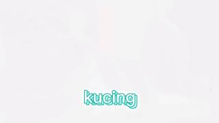 editor berkelas kucing
