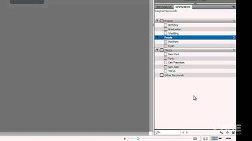 07. Bridge CS5 - Keywords