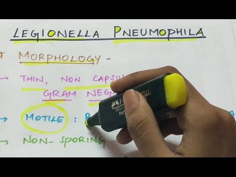 Video: Genenstroom In Legionella Pneumophila In Het Milieu Leidt Tot Genetische En Pathogene Heterogeniteit Bij Een Uitbraak Van Een Veteranenziekte