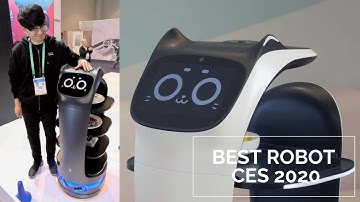 The Best Robots From Consumer Electronic Show CES 2020