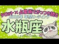 #141✨タロット×占星術で読む❕👀✨2025年🦝水瓶座の傾向✨♒️12星座別🌠年間リーディング🔮あらいぐま カードリーディングの森🌲🦝
