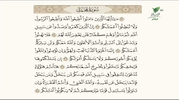 الشيخ باسم السبعي وتلاوة عطرة للجزء الأخير من سورة محمد #صحح_تلاوتك