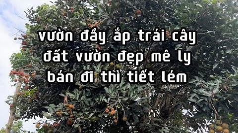 a tiến cần tiền nên bán mảnh vườn tâm huyết của mình,bàu chinh châu đức bà rịa vũng tàu giá rẻđầutư